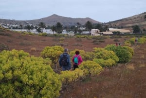 Lanzarote: Northern Cliffs & Valleys Walking tour