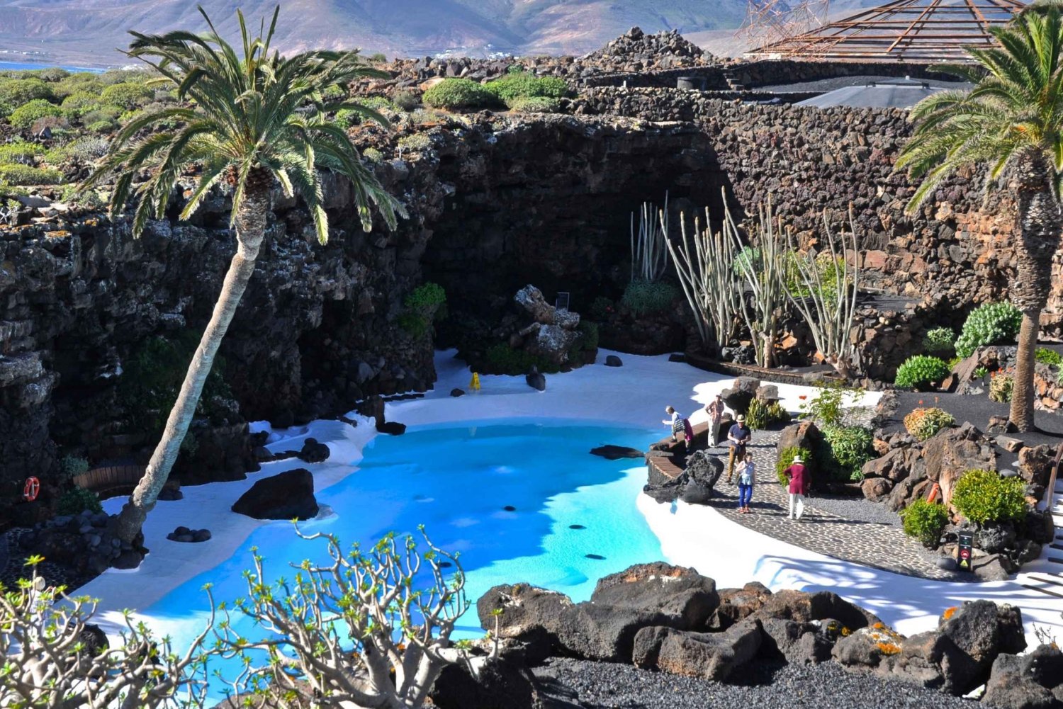 Lanzarote: Northern Half-Day Trip