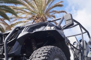 Lanzarote: On-Road Guided Buggy Volcano Tour