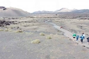 Lanzarote: On-Road Guided Buggy Volcano Tour