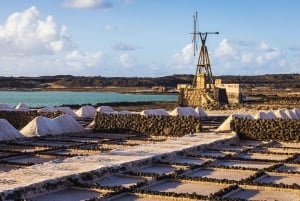 Lanzarote: Yksityinen koko päivän kestävä kiertue