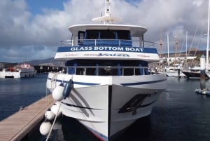 Lanzarote: Puerto del Carmen y Puerto Calero Traslado en barco