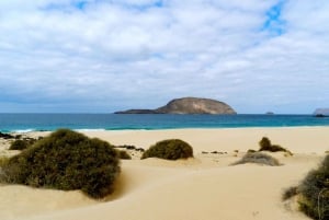 Lanzarote: Return Ferry to La Graciosa with Bus Pickup