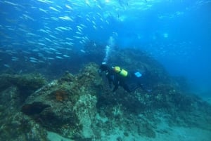 Lanzarote: Sukellus aloittelijoille - 1 sukellus