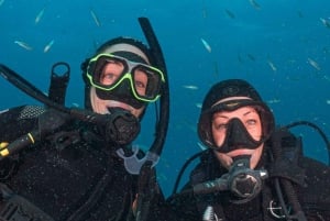 Lanzarote: Scuba Diving Refresher Course