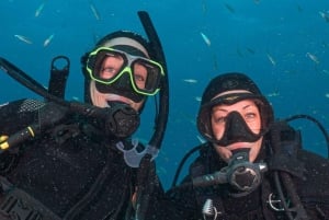 Lanzarote: Oppfriskningskurs i dykking