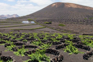 Lanzarote: Kort utflykt söderut 5 timmar