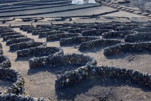 Lanzarote: Kort utflykt söderut 5 timmar