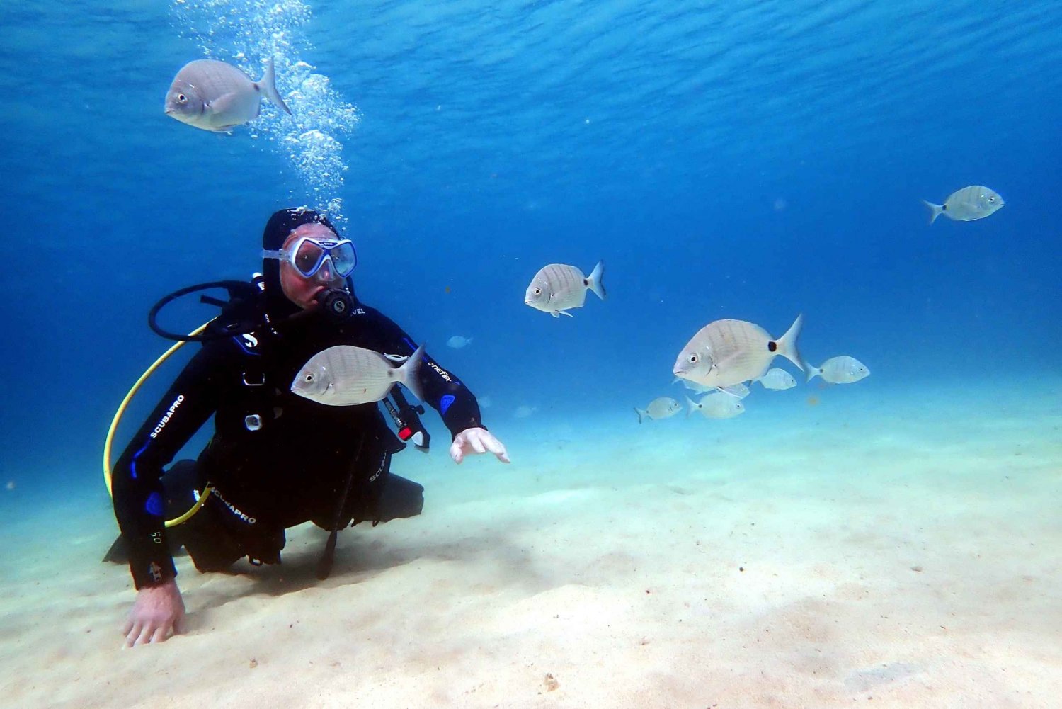 Lanzarote: Small Group Beginner Dive Course Costa Teguise