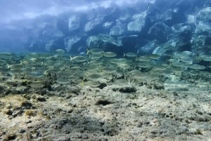 Lanzarote: Small-Group Discover Scuba Diving Costa Teguise