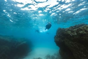 Lanzarote: Snorkel Guided Tour in Papagayo.