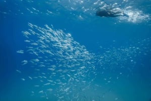 Lanzarote: Snorkel Guided Tour in Papagayo.