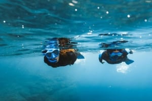 Lanzarote: Snorkel Guided Tour in Papagayo.