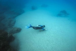 Lanzarote: Snorkel Guided Tour in Papagayo.