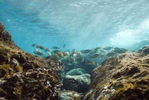 Lanzarote: Snorkel Guided Tour in Papagayo.