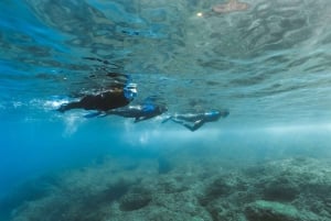 Lanzarote: Snorkel Guided Tour in Papagayo.