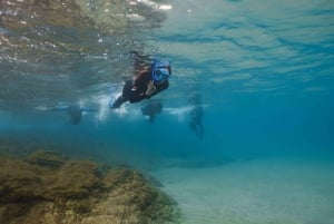 Lanzarote: Snorkel Guided Tour in Papagayo.