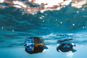 Lanzarote: Snorkel Guided Tour in Papagayo.