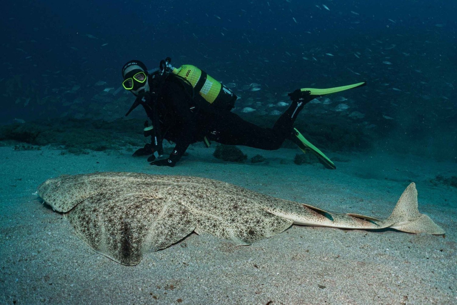 Lanzarote: SSI Open Water Diver-kurs