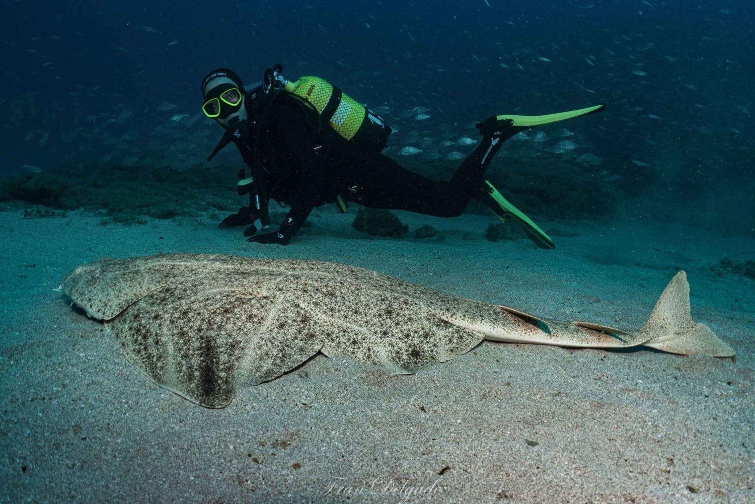 Lanzarote: Kurs SSI Open Water Diver