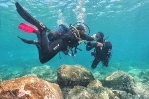 Lanzarote: Kurs SSI Open Water Diver