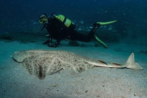 Lanzarote: Kurs SSI Open Water Diver