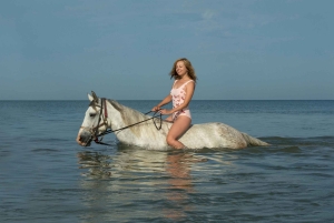 Lanzarote: Ridtur på stranden i solnedgången