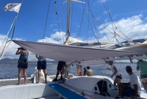 Lanzarote Sunset Experience with dolphin spotting