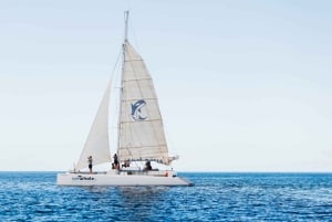 Lanzarote Sunset Experience with dolphin spotting