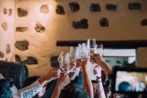 Lanzarote: Weinbergtour bei Sonnenuntergang mit Wein- und Schokoladenverkostung