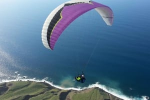 Lanzarote: Tandem Paragliding