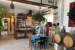 Lanzarote: 'Vinets sjel'-tur: Smak av vinproduksjon