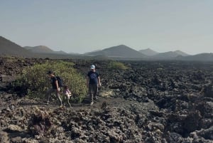 Lanzarote: Timanfaya Natural Park Trekking Tour