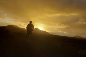 Lanzarote: Timanfaya Natural Park Trekking Tour