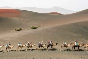 Lanzarote: Timanfaya National Park Volcanic Craters Tour