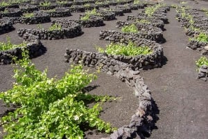 Lanzarote: Timanfaya National Park Volcanic Craters Tour