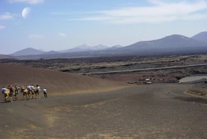 ランサローテ島：ティマンファヤ国立公園の火山クレーターツアー