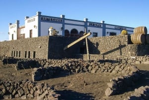 Lanzarote: Timanfaya Park and Jameos del Agua Full-Day Tour