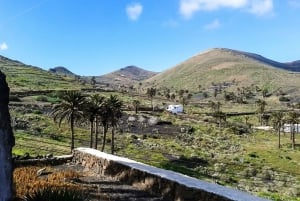 Lanzarote: Timanfaya Park and Jameos del Agua Full-Day Tour