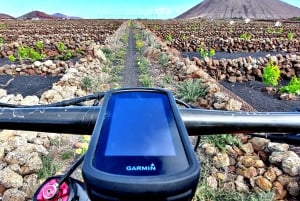 Lanzarote: Elcykeltur i Timanfaya vulkanske naturpark