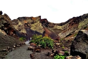 Lanzarote: Elcykeltur i Timanfaya vulkanske naturpark