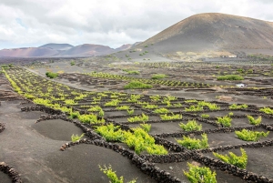Tour di Lanzarote con il Parco nazionale di Timanfaya e El Golfo