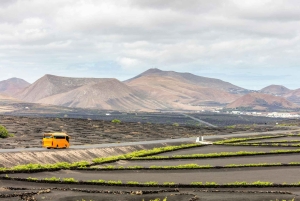 Tour di Lanzarote con il Parco nazionale di Timanfaya e El Golfo