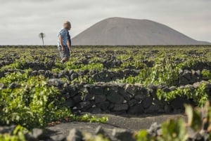 Lanzarote: Journey to the World of EL GRIFO