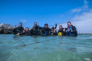 Lanzarote: Kokeile sukelluskokemusta