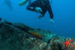 ランサローテ島：スキューバダイビングを体験しよう