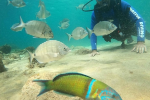 Lanzarote: Dykdopp (Try Scuba Diving)