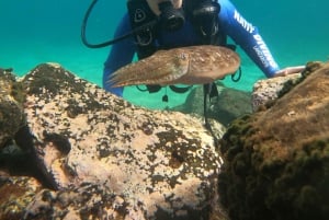 Lanzarote: Dykdopp (Try Scuba Diving)