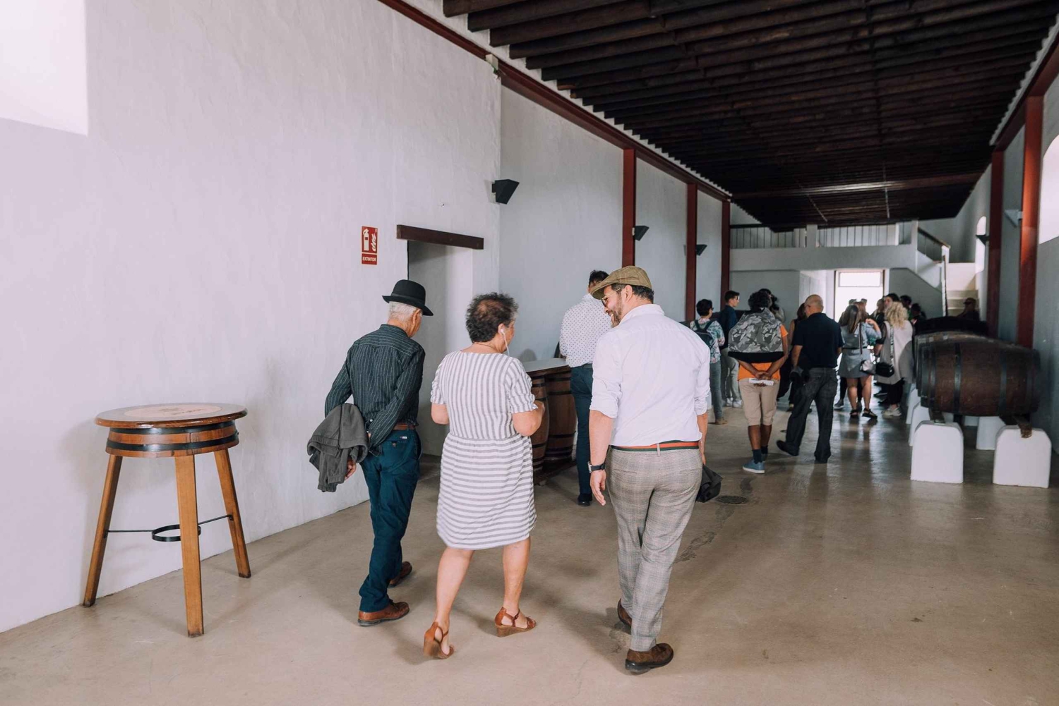 Lanzarote: Tur gennem vinmarken & synæstetisk blindsmagning af vine