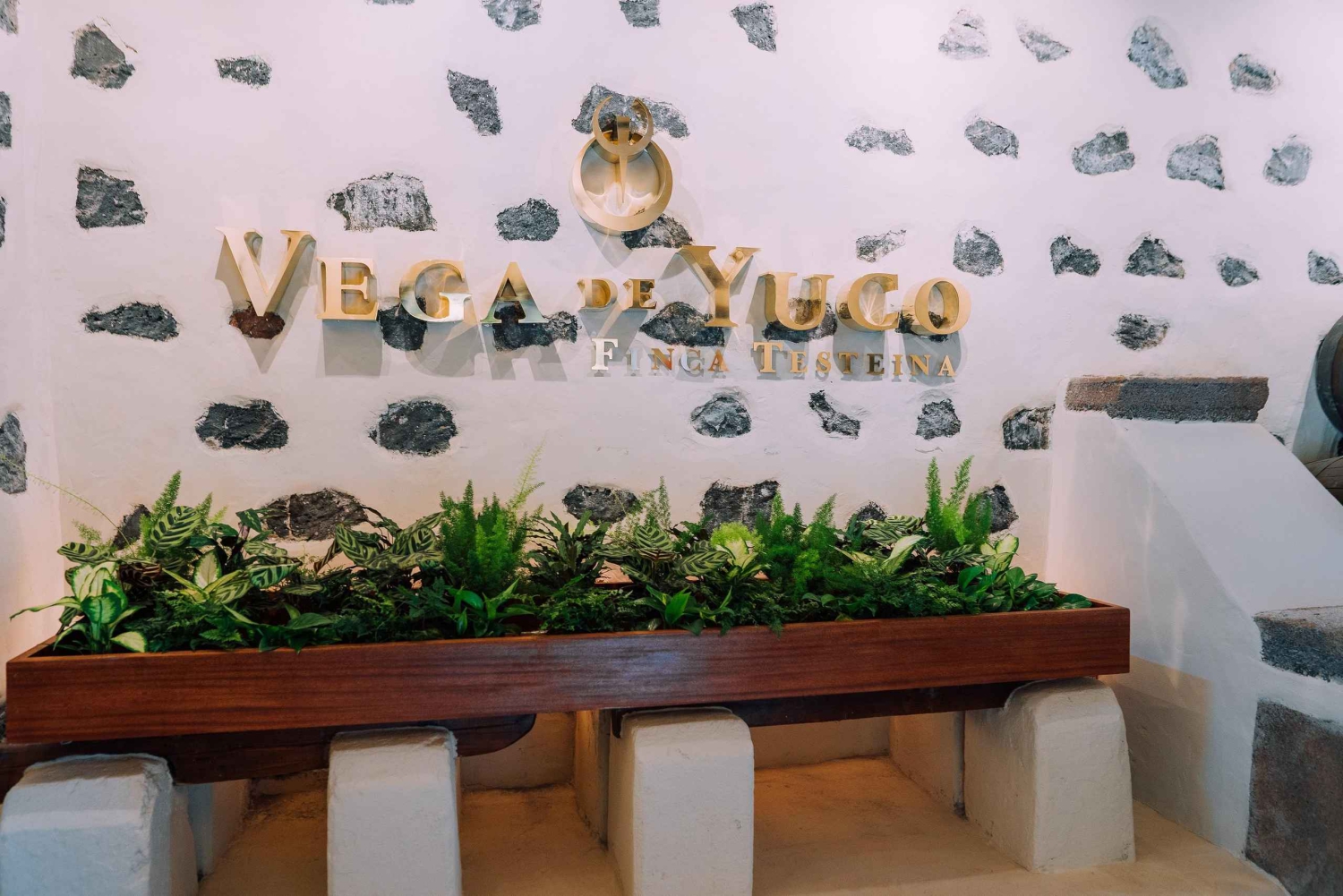 Lanzarote: Tur gennem vinmarken & synæstetisk blindsmagning af vine